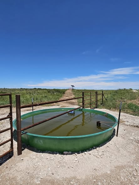 Fiberglass stock tank full of water on a solar well installed by Applewhite Water Well